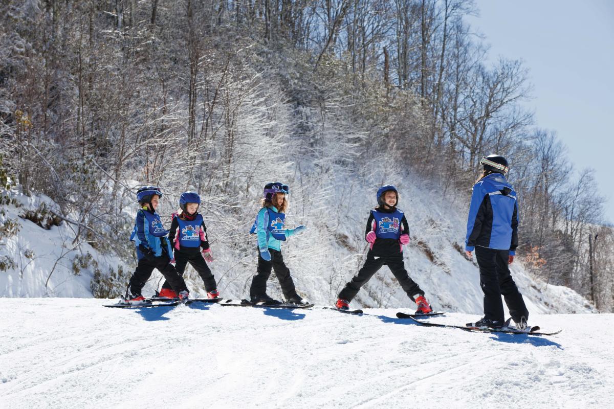 FamilyFriendly Activities Winter Vacations in Asheville, N.C.